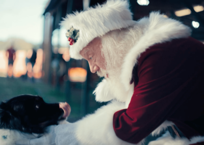 Georgia Farm Bureau  // Christmas Commercial